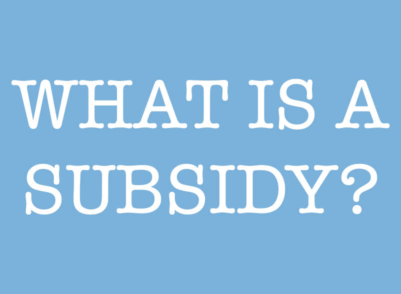 what-is-a-subsidy